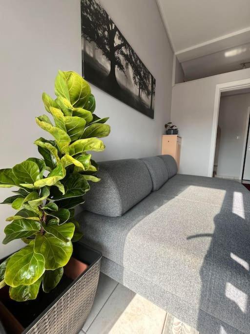 Maria'S Sunlit Apartment Pireus Eksteriør bilde